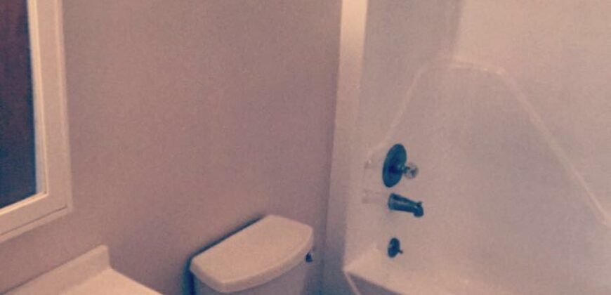 RPI off campus housing ,Private all newly renovated 1 Bedroom apartments near Campus on 17 St