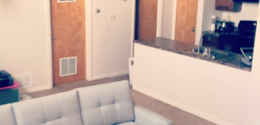 RPI off campus housing ,Private all newly renovated 1 Bedroom apartments near Campus on 17 St